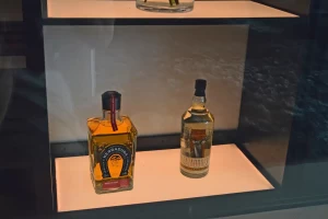 9 - Bottles Displayed in Wine Shelves of Modern Wine Wall